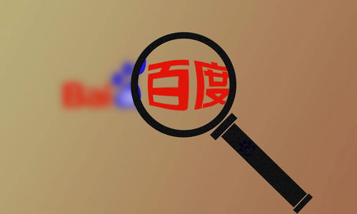 蜘蛛池哪个好