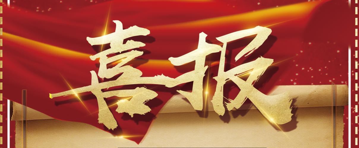 2024年最新泛站群软件功能介绍